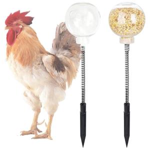 Chicken Entertainment Feeder Ground Mounted Slow Dispensers Promotes Healthy Eating Poultry Accessories