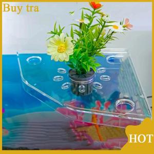 [Buytra] Bể cá góc lưu trữ giá đục lỗ miễn phí lưu trữ Giá bể cá cảnh quan hàng đầu khung thủy canh cây xanh khay