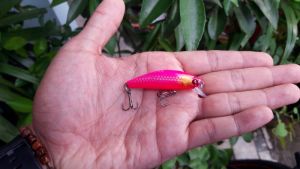 Umpan Minnow Lure Sinking 6gr Swimbait Pink: Pengenalan & Harga