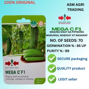 CUCUMBER - EAST-WEST LEGA C F1 / MEGA C F1