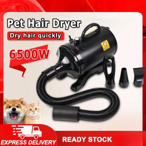 Dryer Cat Dryer 6500W Blow Suction 2 in 1 Dog Cat Grooming Blower Warm Wind Low Noise Pengering Bulu Kucing 宠物吹风机