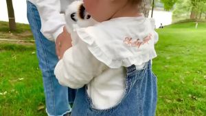 ตุ๊กตาผ้าขนนุ่ม ลูกแมวที่ร้อง ตุ๊กตาแมวน่ารัก ของขวัญสำหรับเด็กผู้หญิง ของเล่นเด็ก ขายส่ง