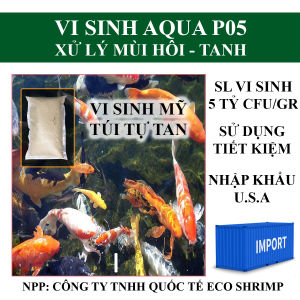1 Gói 113 Gr vi sinh Mỹ Aqua P05 - Xử lý đáy ao giảm mùi hôi tanh trong bể nuôi cá Koi