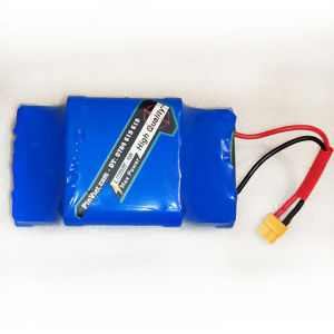 Pin xe điện cân bằng 36V 2500mAh chất lượng cao