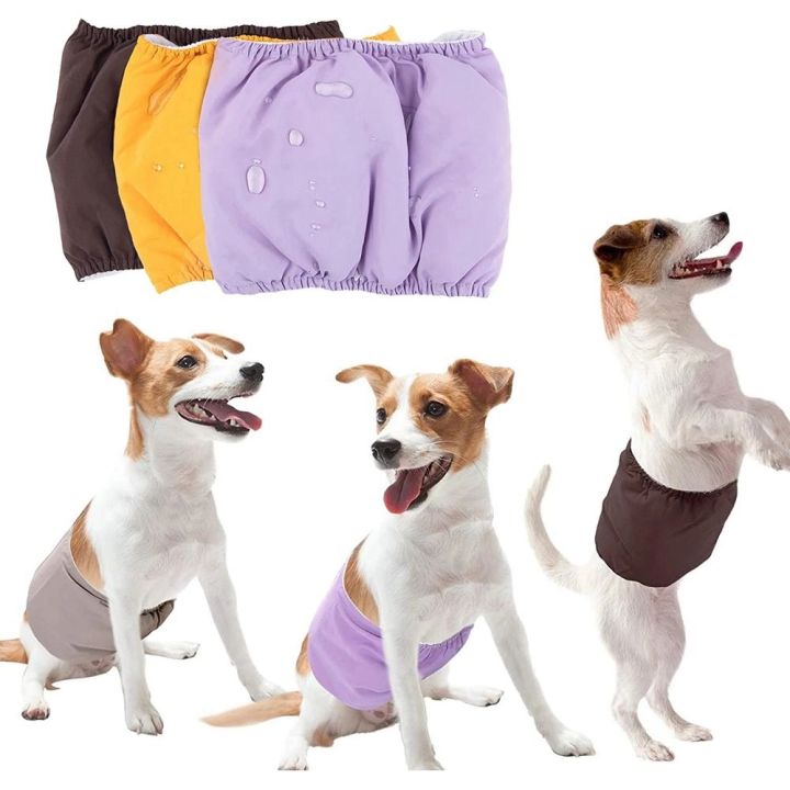 LUCKY CLAW Menstruation Cotton Female Dog Underwear Pet Briefs Pets