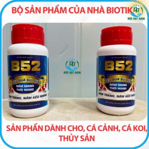 B52 nấm mang thối đuôi nấm trăng  dùng cho cá cảnh cá koi thủy sản LỌ 250ML