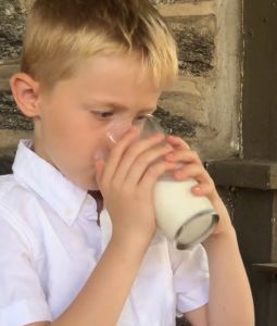 Pediasure Plus 10+ Years Powdered Milk Drink Vanilla 1.8kg – Complete Nutrition for Kids