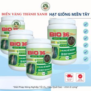 COMBO 2 lon Phân bón Bio 36 Plus siêu ra rễ kích đọt đâm chồi