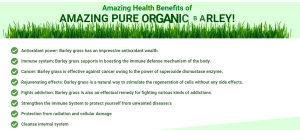 Original IAM Worldwide Amazing Pure Organic Barley Capsule ( 1BOX/100 CAPSULES ) 500MG from Australia | Official Store