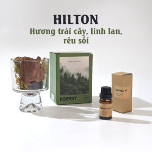 Cốc khuếch tán hương thơm trang trí phong cách rừng xanh FOREST - Kèm tinh dầu khuếch tán 10ml - Quà tặng hương thơm