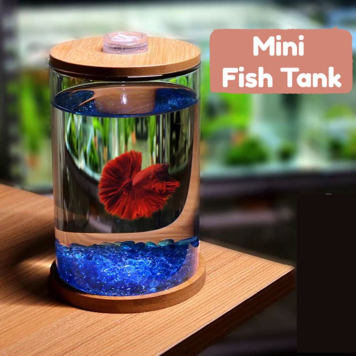 Mini Betta Fish Tank Desktop Micro Aquatic Display Small Glass Aquarium  Eco-Bottle Fish Tank Decorative Ornament