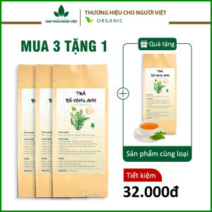 Trà bồ công anh túi lọc bịch 30 túi x 3g đậm vị trà thơm ngon dễ uống tốt cho sức khoẻ