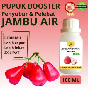 Pupuk Jambu Air Cepat Berbuah / Pupuk Pelebat Buah Jambu Air / Pupuk Booster Jambu Air Cair
