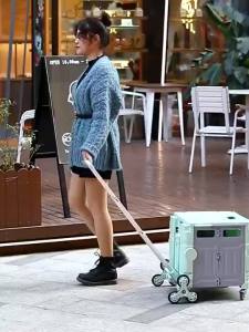 (SG Seller) Multifunctional Folding Shopping Cart Large Capacity Trolley Outdoor Camping Trolley Climbing Stairs PL99