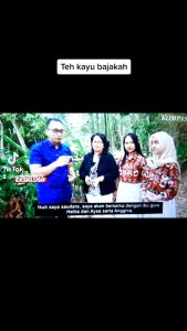 AKAR BAJAKAH MERAH ASLI KALIMANTAN 100% ORIGINAL