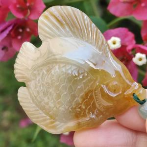 Yellow Natural Type A Jadeite Pendant carved as Fish with certificate weigh 28.33 grams 55 * 50.2 * 7 mm meaning Many sons and many blessings full of children and grandchildren and Life is harmonious and smoothfree from worries and sorrows (pendant77)