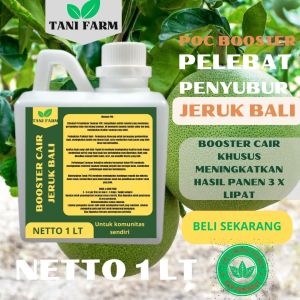 Pupuk Semprot Pelebat JERUK BALI Pupuk Pelebat JERUK BALI Pupuk Penyubur JERUK BALI ZPT