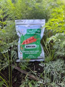 Benih Bibit Wortel Berastagi SADA