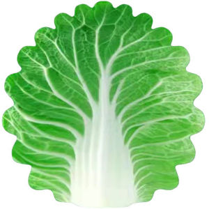 ผ้าห่อตัวเด็ก: ลายส้ม ผ้าห่มเด็ด ผ้าห่อตัวทารก น่ารักนูมขาว พร้อมส่งจากไทย ถูกที่สุด