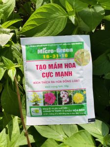 Phân kích ra hoa Micro green NPK 16-31-16 gói 10gr tạo mầm hoa cực mạnh