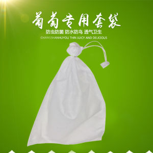 100PCS Fruit Protect Bag Garden Plant Mesh Anti Insect Fly Bird Monkey Squirrel Fruit Plant Grow Protection Bags