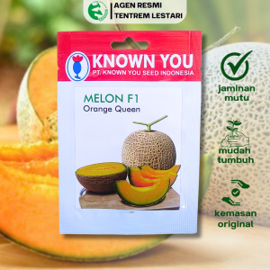 Benih Melon F1 ORANGE QUEEN 8 BIJI Known You Seed