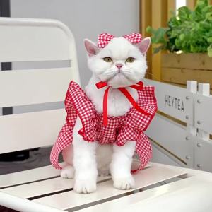 Pet Clothes Cat Dress Spring Summer Teddy Bichon Corgi Puppy Cat Dog Apparel Supplies