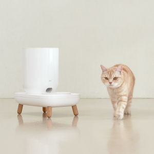 duit the table (autofeeder)