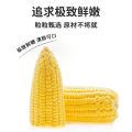 敏星 宝宝脱皮玉米果肉 配料100%玉米 不加盐糖 开袋即食 180g（内含3独立包装）AllerStar Baby Peeled Corn Sarcocarp -6M+. 