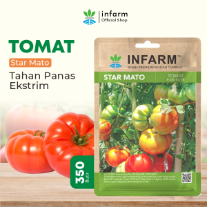 INFARM - Benih Bibit Biji Super Tomat Mawar Bibit Buah Buahan Benih Buah Tomat Benih Bibit Tomat Merah