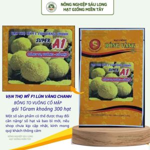 (Gói LỚN 1GRAM khoảng 300 hạt)  Hạt Giống Hoa Vạn Thọ Mỹ SUPER A1 -RV - LÙN VÀNG CHANH-  Cổ MẬP- bông to Vuông.