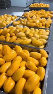 [FLASH SALE] 3F FOOD SWEET DRIED MANGO - DRIED MANGO WITH SALT AND CHILI