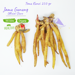 Temu Kunci Segar 250gr Organik - Bumbu Sayur Bening dari Gunung Kidul