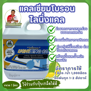 แคลเซียมโบรอน ไลนิ่งแคล ช่วยทำให้ขั้วเหนียว ช่วยป้องกันผลแตก สร้างเนื้อและน้ำหนักผลผลิต สูตรคุณโรจน์ เกษตรรับทราบ