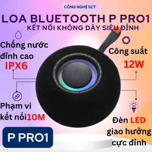 Loa Không Dây Bluetooth P Pro 1 - Trải Nghiệm Âm Thanh Tuyệt Vời Với Thiết Kế NHỏ Gọi Năng Động và Pin Trâu - Nghe Nhạc Mọi Lúc Mọi Nơi