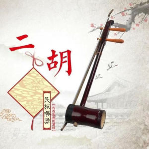 #六角二胡乐器成人初学者儿童入门练习演奏胡琴民族乐器松香备弦 Hex Erhu Musical Instruments Adult Beginners Children Introductory Practice Playing Huqin Ethnic Musical InstrumentsFast shipping