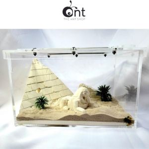 Egyptian Series Ant Formicarium Egyptian Civilisation - Ant Farm Ant Keeping Ant Cages Formicarium - Medium Forgotten Ant Outworld Empire Of Ants