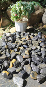 Đá cuội màu đen sỏi đen tự nhiên dùng để trang trí tiểu cảnh sân vườn thác suối hồ cá (size 2-5cm)