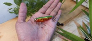 umpan minnow pencil wtd 5gr 55cm