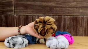 New Fashion Korean Plush Large Scrunchies Elastic Hair Band Winter Rabbit Fur Fluffy Headband Headdress Female Accessories2026