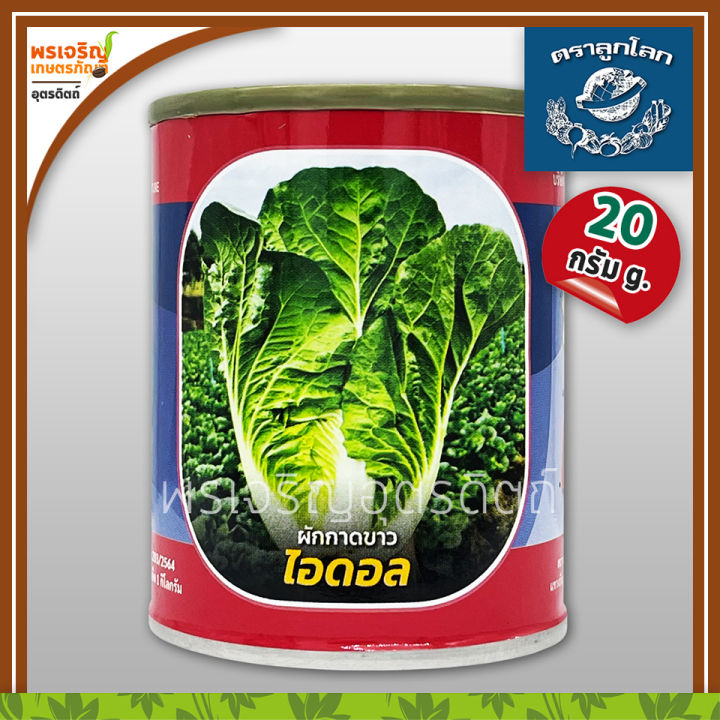 เมล็ดพันธุ์ลูกโลก ผักกาดขาว ไอดอล F1 ปลีแน่น