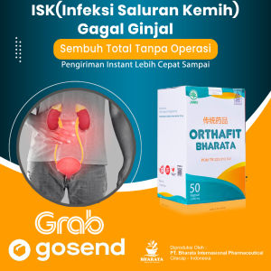 Obat Gagal Ginjal ISK infeksi saluran kemih Super Ampuh Orthafit Bharata Original Obat Kencing Darah