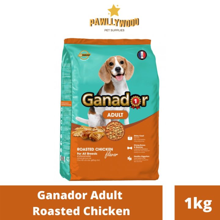 Ganador Adult Dog Food Roasted Chicken 1kg Repacked Lazada PH