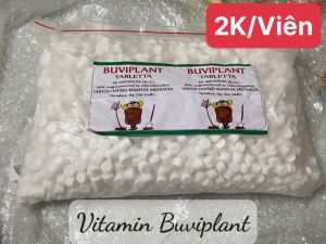 [TẶNG 35V]VITAMIN BUVIPLANT  GIÚP CÂY HẤP THU ĐẦY ĐỦ CHẤT DINH DƯỠNG PHÁT TRIỂN RỄ SAI QUẢ NHIỀU BÔNG - 100 viên