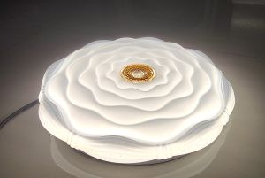 LED Ceiling Lamp Modern Floral Design Warm White Natural White Cool White 48W 78W High Lumen Dimmable Suitable for Bedroom Living Room Kitchen Dining Room