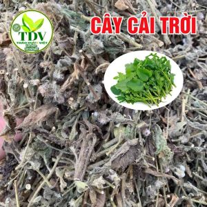 1kg Cây Cải Trời Khô Sạch Tốt Cho Người Bướu Cổ