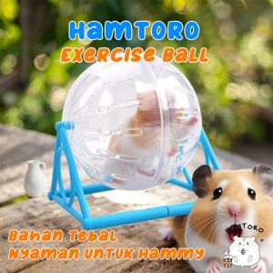 Hamtoro Exercise Ball 2 in 1 Bahan TEBAL & Besar Mainan Kincir Hamster
