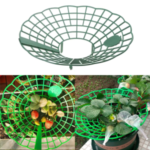 Strawberry Support Holder Growing Frame Strawberry Support Planting Rack Removable Lightweight Growing