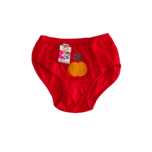 CELANA DALAM ANAK PEREMPUAN BORDIR BUAH