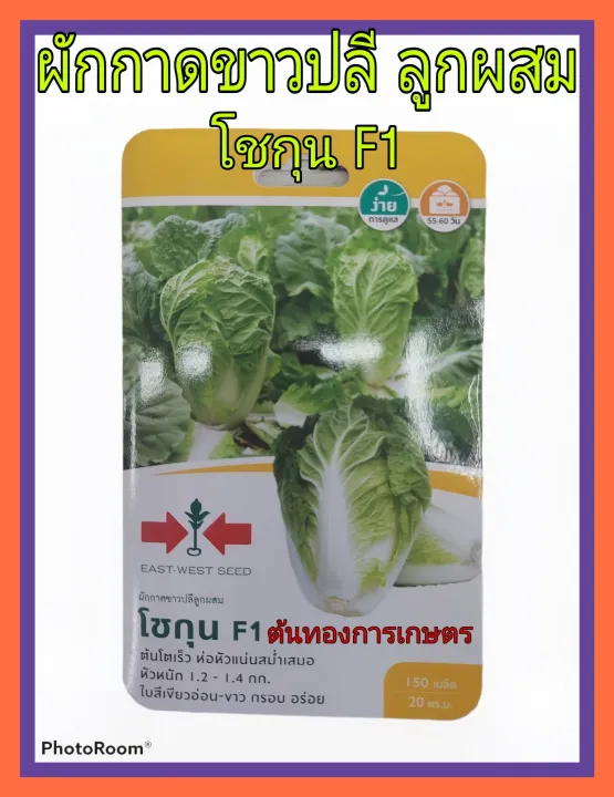 เมล็ดพันธุ์ผักกาดขาวปลี โชกุน F1 ต้นโตเร็ว ห่อหัวแน่น